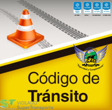seguridad vial