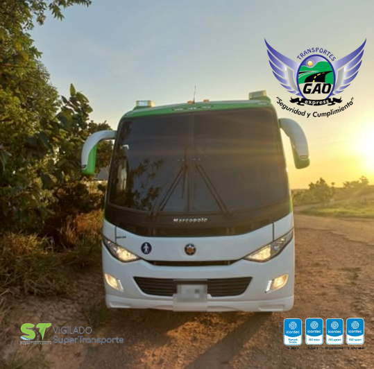 Bus - Transporte de pasajeros